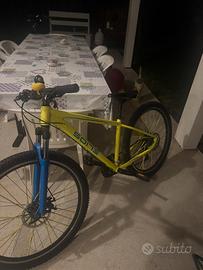 Bicicletta modificata