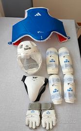 protezioni taekwondo 