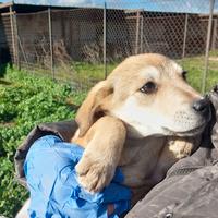 Fermati a leggere un istante