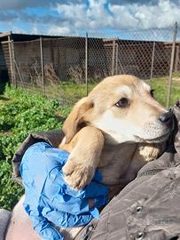 Fermati a leggere un istante