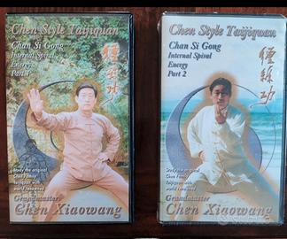 Chen Taijiquan Chan Si Gong