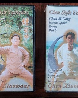 Chen Taijiquan Chan Si Gong