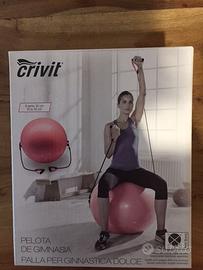 Palla per ginnastica dolce (Gym Ball)