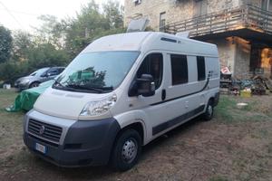 Camper puro Flexo sp 