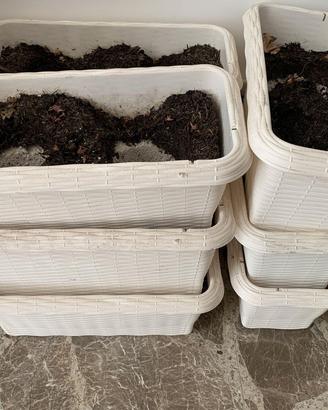 Lotto 9 Fioriere Bianche Rattan 40x18cm