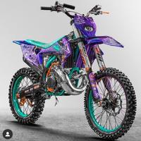 Plastiche e sella Vanni Oddera