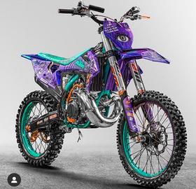 Plastiche e sella Vanni Oddera