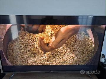 TV Xiaomi 55 pollici Qled 