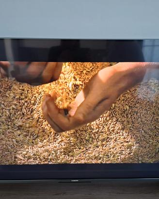 TV Xiaomi 55 pollici Qled 