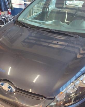Cofano FORD FIESTA del 2009