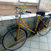 Bicicletta uomo donna modello olandese