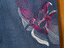 Immagine 4
