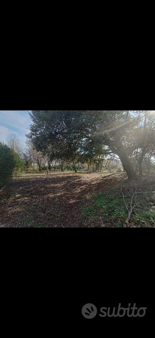 Terreno urbano - Vista 2