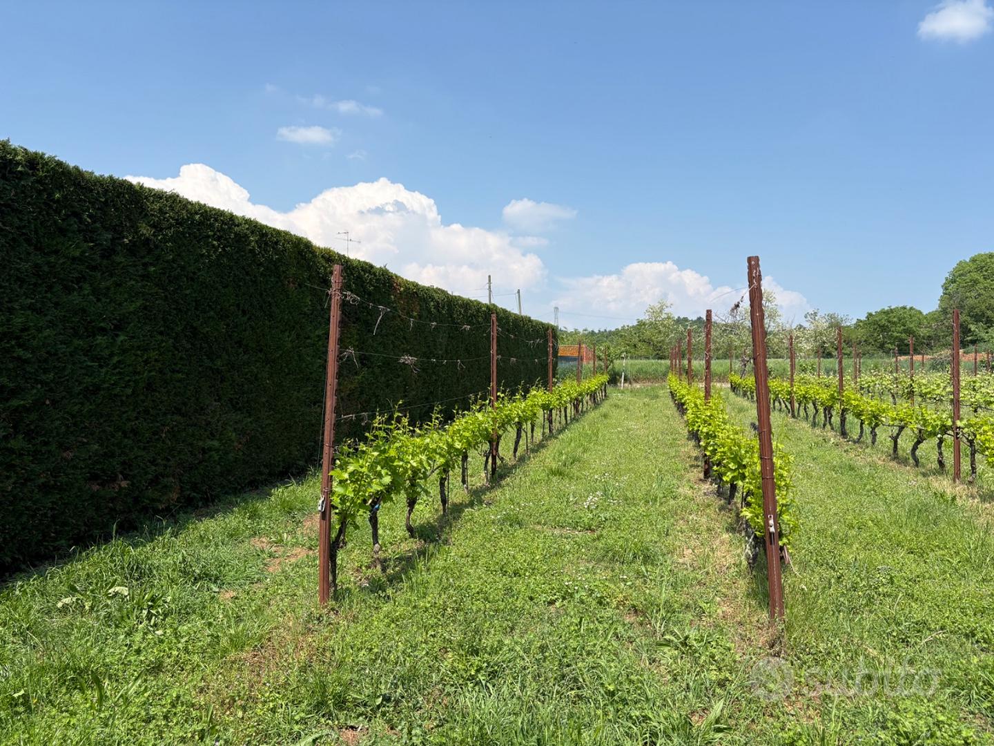 Terreno edificabile a Esenta di Lonato - Vista 3