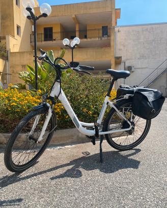 Bicicletta elettrica