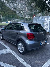 auto Polo