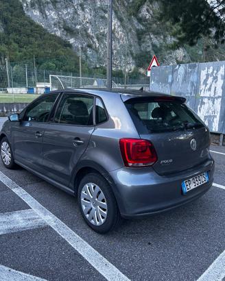 auto Polo