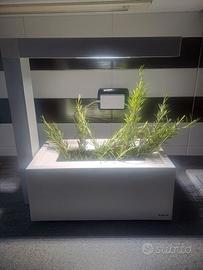 fioriera idroponica