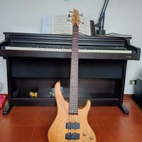 Basso elettrico Washburn XB-500