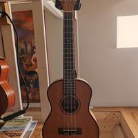 ukulele Cascha hh47 tenore
