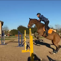 Parco ostacoli equitazione