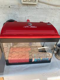 Acqurio milan