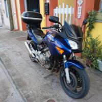 Honda CBF 600 - 2005