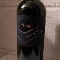 Vino rosso PELAGO 2011 cantina UMANI RONCHI