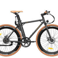 Bicicletta Elettrica Fafrees F1 + Accessori