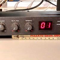 ROLAND RE800 Digital Echo