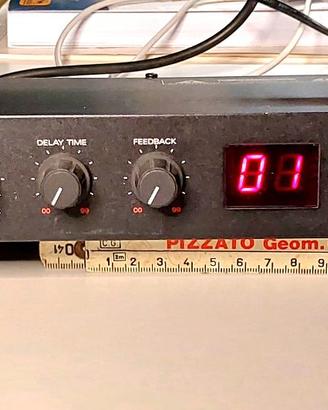 ROLAND RE800 Digital Echo