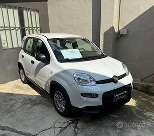 Fiat Panda Panda 1.0 firefly hybrid NOLEGGIO DA € 