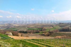 Casa indipendente Veduno