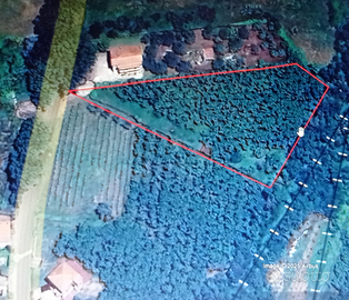 TERRENO EDIFICABILE mq 4000 a fabrica di roma