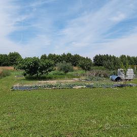 Terreno agricolo