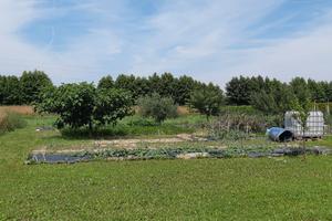 Terreno agricolo