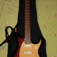 Chitarra Elettrica e amplificatore ed accessori