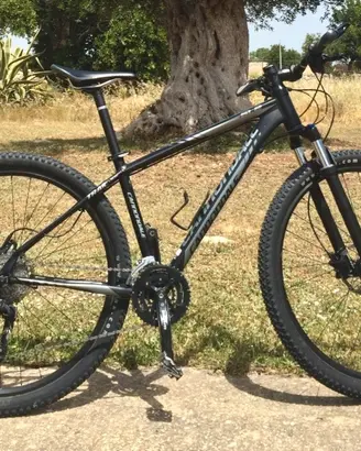 cannondale Mountain bike 29