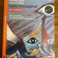 Caro Immaginar epica