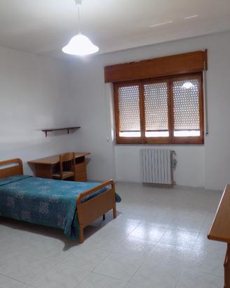 Stanza studente vicino Facoltà di Medicina