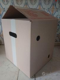 contenitore in cartone per 189 uova