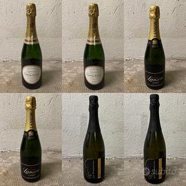 Box 6 Bottiglie Champagne e Metodo Classico