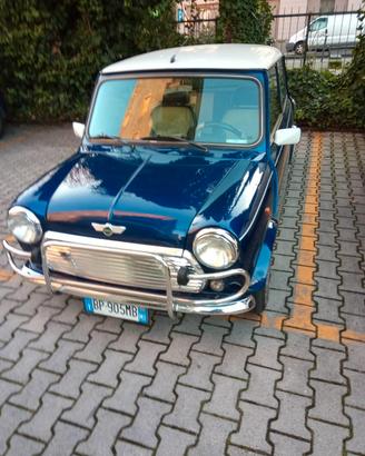 Rover Mini 1.3