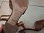 Immagine 3