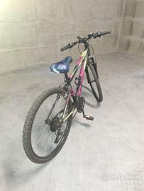 Mtb Mountain Bike DF bike 26