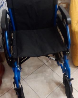 Sedia a rotelle