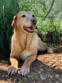 Hermione 10 anni