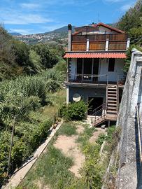 Appart.con terreno tovo s.g