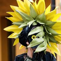 vestito carnevale 