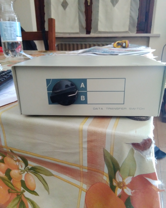 Data transfer switch